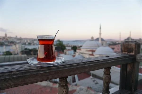 スパティフィラムの6月のお手入れ、葉がツヤツヤになる簡単な8つのコツ