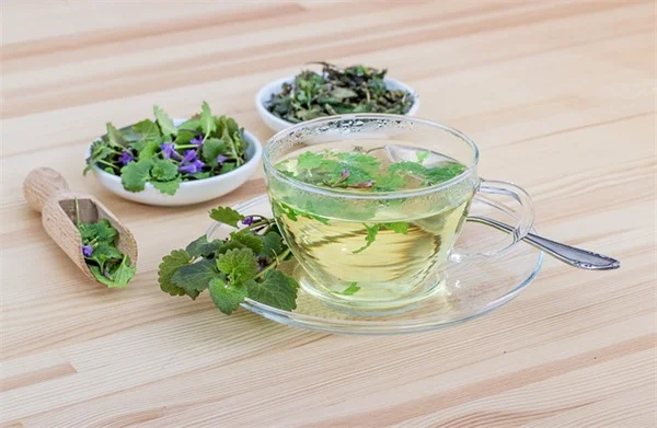 観葉植物のキノコバエを蚊取り線香で駆除！たった3ステップで大成功した方法